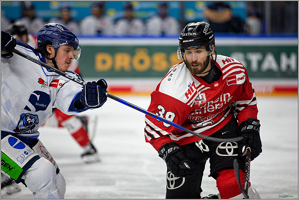 PENNY DEL; Koelner Haie- Straubing Tigers; Koeln, 09.10.2022